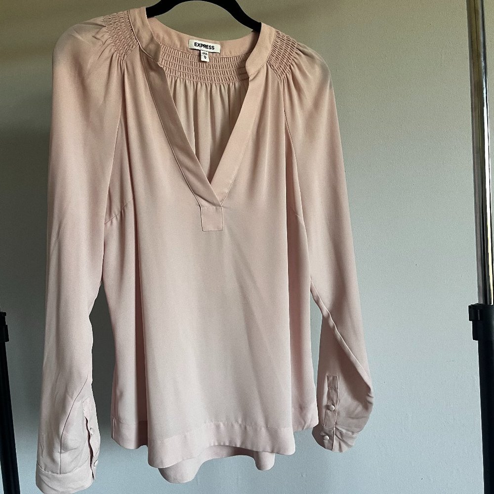 Express Light Pink Blouse